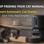 5 Automatic Cat Feeders That Save Your Time (2026)